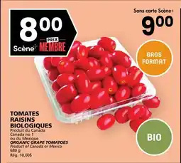 Rachelle-Bery Grocery ORGANIC GRAPE TOMATOES offer