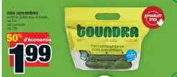 Super C MINI CONCOMBRES | MINI CUCUMBERS offer