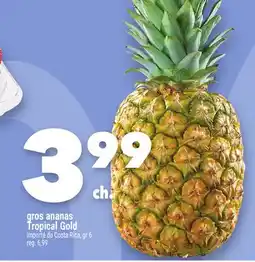 Marche Ami Gros ananas TropicalGold offer