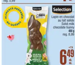Jean Coutu SELECTION Solid milk chocolate bunny offer
