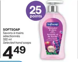 Brunet SOFTSOAP Savons à mains sélectionnés offer