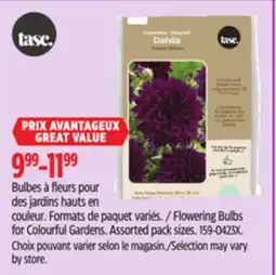 Canadian Tire Flowering Bulbs for Colourful Gardens offer