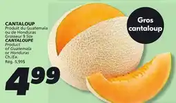 IGA CANTALOUPE offer
