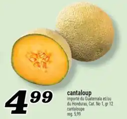 Marché Richelieu Cantaloupe | Cantaloupe offer