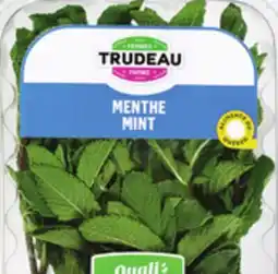 IGA FERMES TRUDEAU FRESH MINT offer