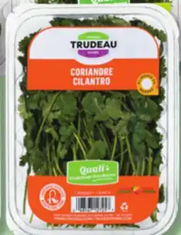 IGA FERMES TRUDEAU CILANTRO offer