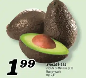 Marché Richelieu AVOCAT HASS | HASS AVOCADO offer