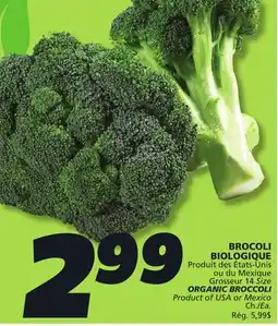 IGA ORGANIC BROCCOLI offer