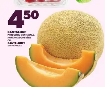 Provigo CANTALOUP | CANTALOUPE offer