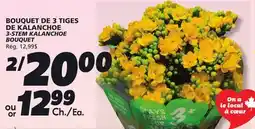 IGA 3-STEM KALANCHOE BOUQUET offer