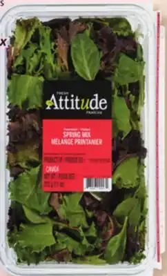 Marches Tradition ATTITUDE FRAÎCHE BABY SPINACH, ARUGULA, SPRING OR SAN MARINO MIX offer
