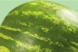 IGA SEEDLESS WATERMELON QUARTERS offer