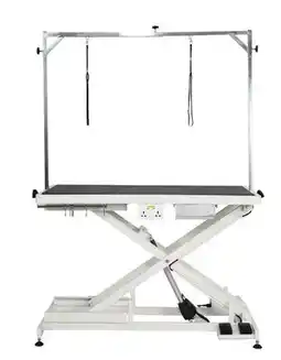 Ren’s Pets Depot Q Low-Low Table offer