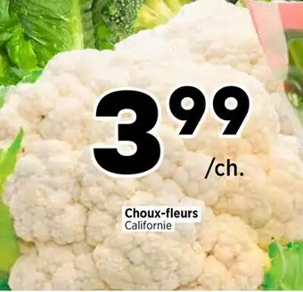 Val-Mont Choux-fleurs offer