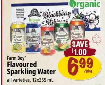 Farm Boy Farm Boy Flavoured Sparkling Water offer