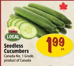 Farm Boy Seedless Cucumbers offer
