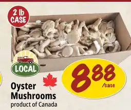 Farm Boy Oyster Mushrooms offer