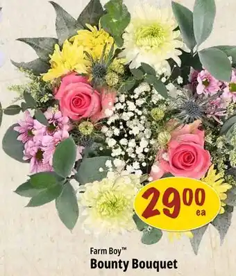 Farm Boy Farm Boy Bounty Bouquet offer