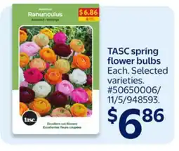 Walmart TASC spring flower bulbs offer