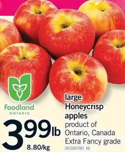 Fortinos LARGE HONEYCRISP APPLES offer