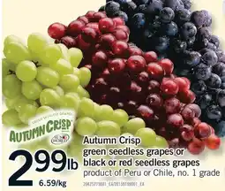 Fortinos AUTUMN CRISP GREEN SEEDLESS GRAPES OR BLACK OR RED SEEDLESS GRAPES offer