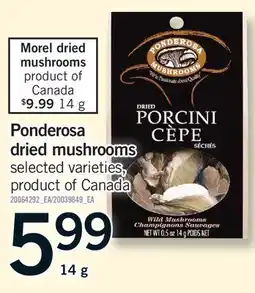 Fortinos PONDEROSA DRIED MUSHROOMS offer