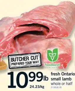 Fortinos FRESH ONTARIO SMALL LAMB offer