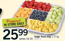 Fortinos LARGE FRUIT TRAY offer