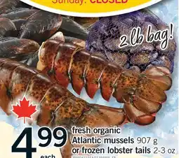 Fortinos FRESH ORGANIC ATLANTIC MUSSELS, 907 G, OR FROZEN LOBSTER TAILS 2-3 OZ offer
