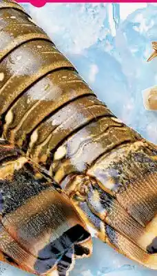 Fortinos ROCK LOBSTER TAILS, 6 OZ offer