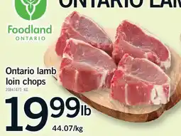 Fortinos ONTARIO LAMB LOIN CHOPS offer