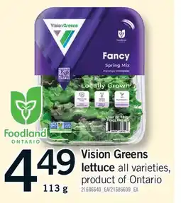 Fortinos VISION GREENS LETTUCE offer