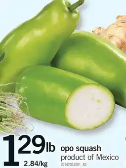 Fortinos OPO SQUASH offer