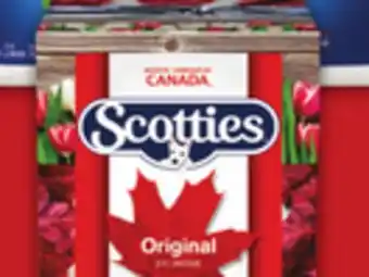 Food Basics CASHMERE BATHROOM TISSUE, SPONGE TOWELS ULTRA PAPER TOWELS OR SCOTTIES FACIAL TISSUE offer