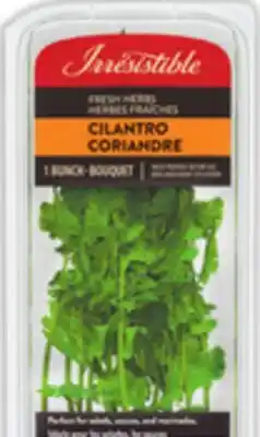 Food Basics IRRESISTIBLE HERBS offer