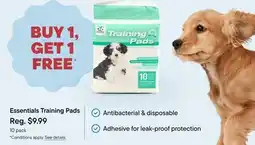 Petvalu Essentials Training Pads offer