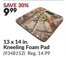 Princess Auto 13 x 14 in. Kneeling Foam Pad offer