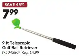 Princess Auto 9 ft Telescopic Golf Ball Retriever offer