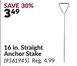 Princess Auto 16 in. Straight Anchor Stake offer