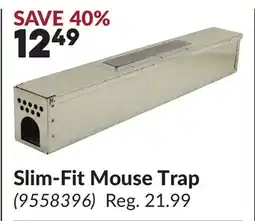Princess Auto Slim-Fit Mouse Trap offer