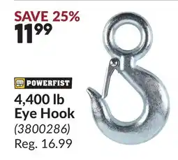 Princess Auto 4,400 lb Eye Hook offer