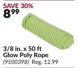 Princess Auto 3/8 in. x 50 ft Glow Poly Rope offer