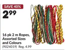 Princess Auto 16 pk 2 m Ropes, Assorted Sizes and Colours offer