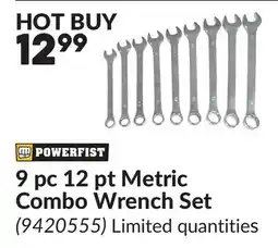 Princess Auto 9 pc 12 pt Metric Combo Wrench Set offer