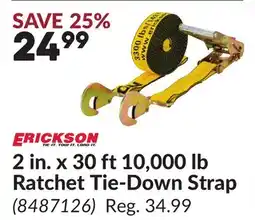 Princess Auto 30 ft 10, 000 lb Ratchet Tie-Down Strap offer