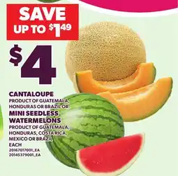 Loblaws CANTALOUPE OR MINI SEEDLESS WATERMELONS offer