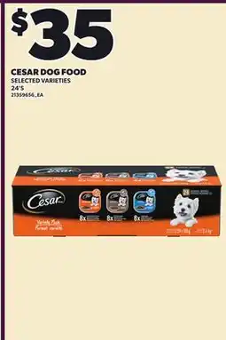 Loblaws CESAR DOG FOOD, 24'S offer