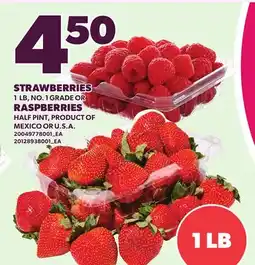 Loblaws STRAWBERRIES, 1 LB, RASPBERRIES offer