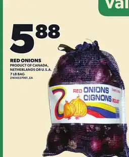 Loblaws RED ONIONS, 7 LB BAG offer