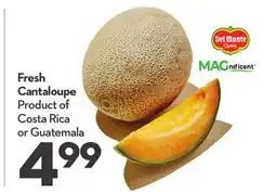 Longo's Fresh Cantaloupe offer
